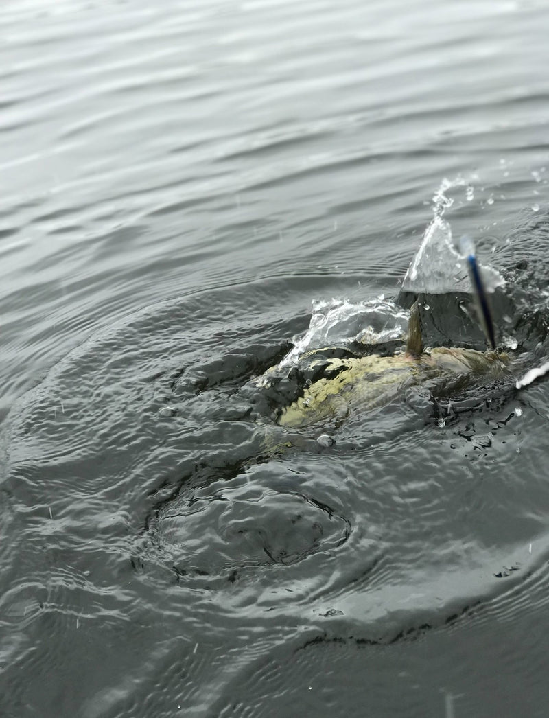 Fishing trip photo